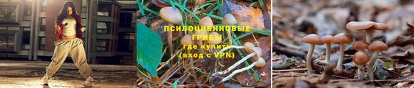гашик Кулебаки