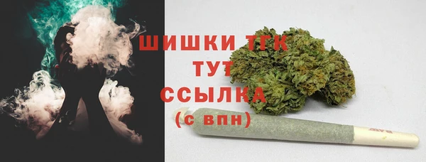 ПСИЛОЦИБИНОВЫЕ ГРИБЫ Лихославль