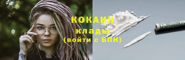 гашик Кулебаки