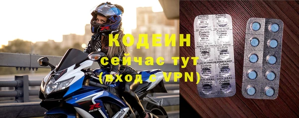 ПСИЛОЦИБИНОВЫЕ ГРИБЫ Лихославль