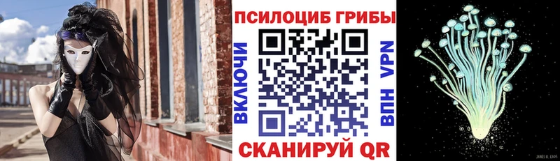 Псилоцибиновые грибы мицелий Купить Обоянь